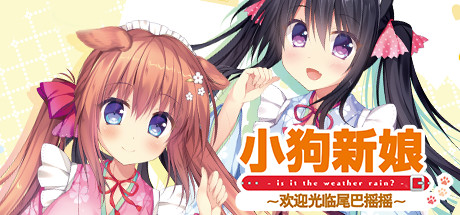 小狗新娘~欢迎光临尾巴摇摇