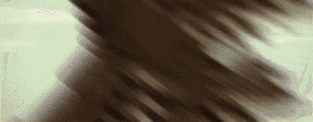 大江湖之苍龙与白鸟 | The World Of Kong Fu-2 大江湖之苍龙与白鸟 | The World Of Kong Fu