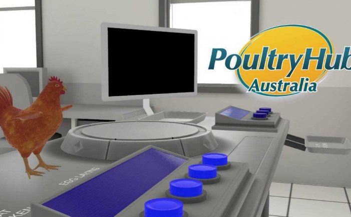 小鸡的解剖- Meta Quest游戏