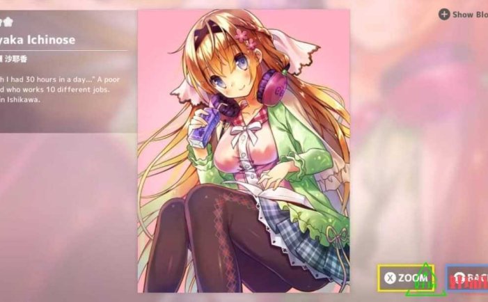 变身少女2 for Switch 中文版