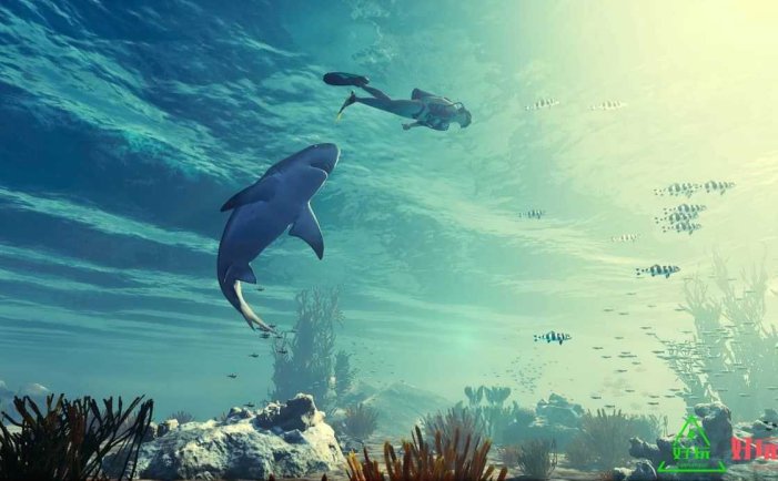 任天堂Switch-食人鲨 Maneater 中文版-xci游戏下载