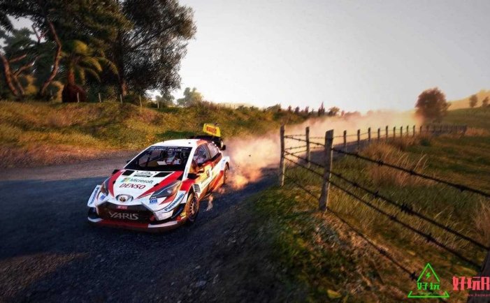 任天堂Switch-世界汽车拉力锦标赛9中文版-xci游戏下载